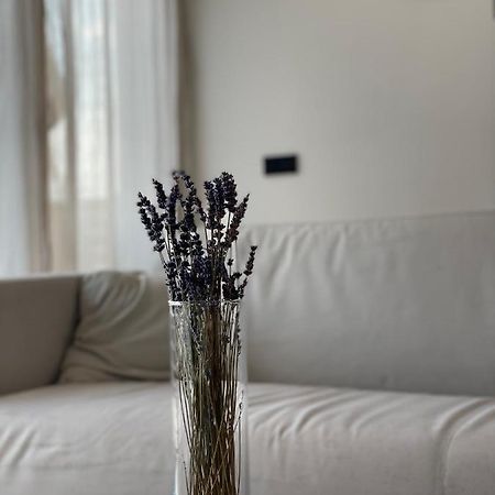 Roemer Apartment Und Zimmer توركهيم المظهر الخارجي الصورة